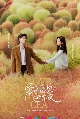 全国网站优化功能介绍